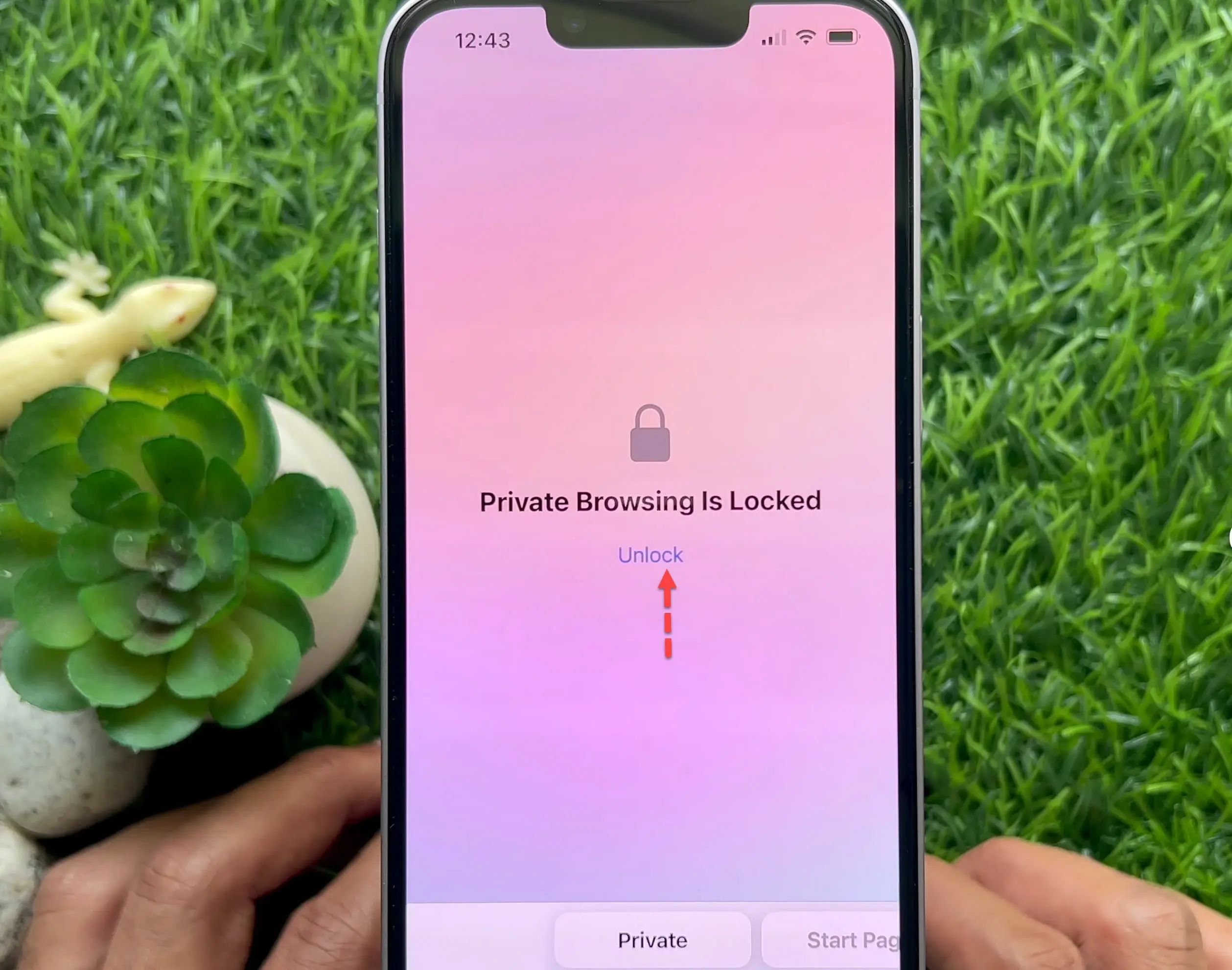 How to Unlock Private Tabs with Face ID