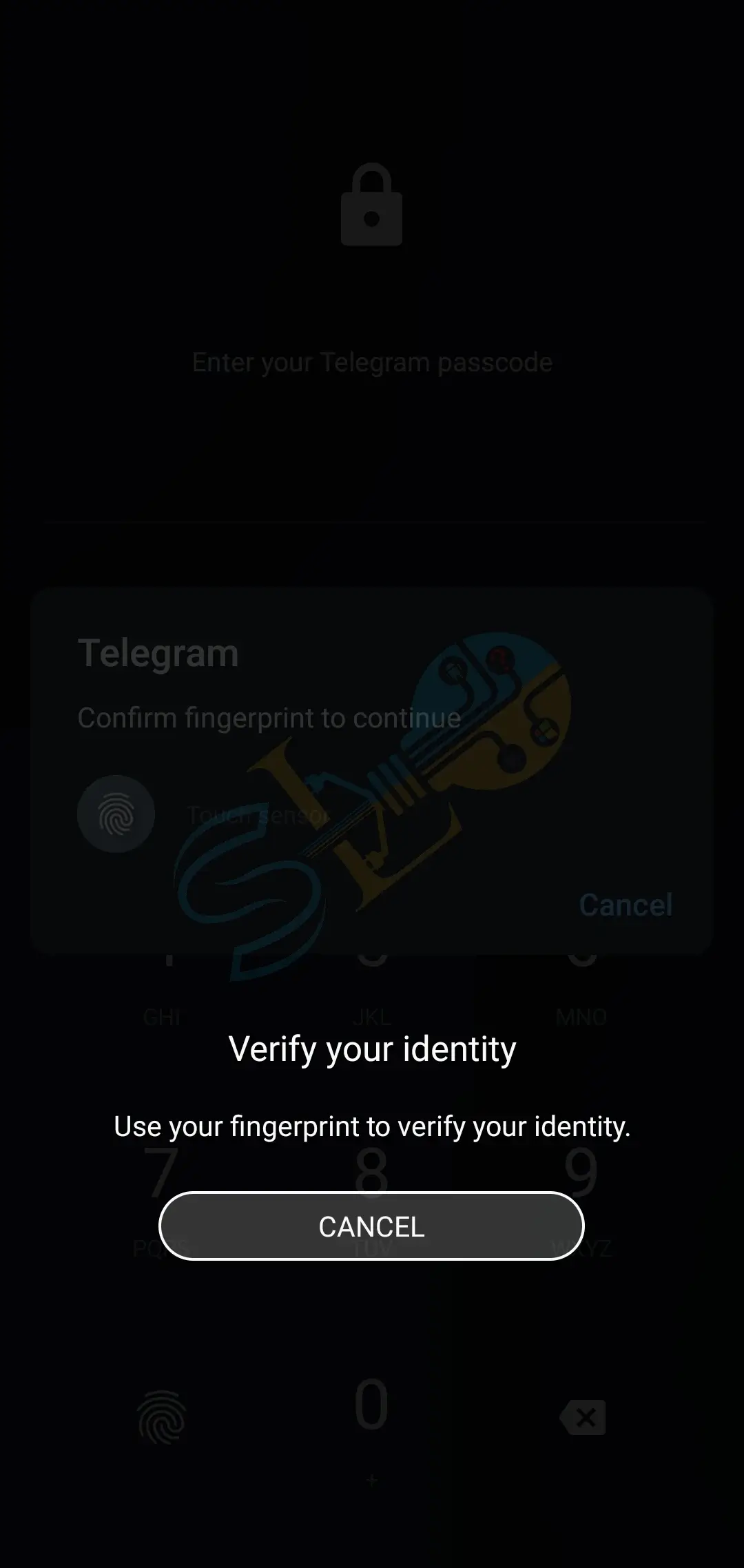 How to Set Fingerprint Lock in Telegram to Protect Chats [Android]